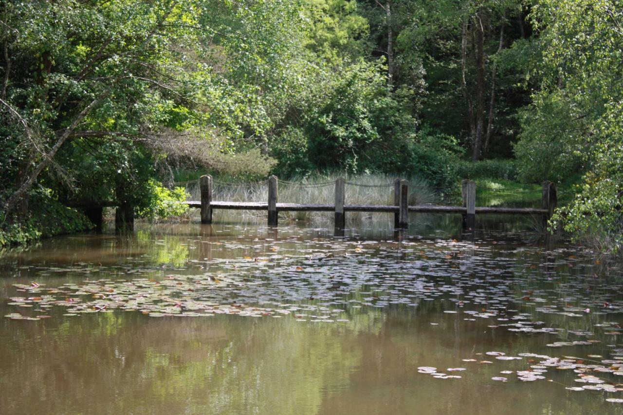 Spruce Lake Sauviat-sur-Vige Zewnętrze zdjęcie