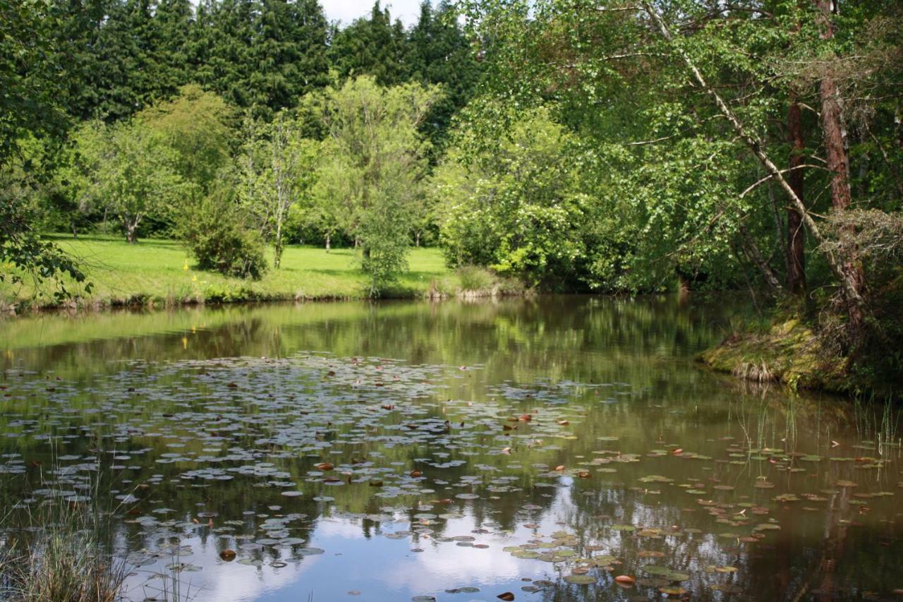 Spruce Lake Sauviat-sur-Vige Zewnętrze zdjęcie