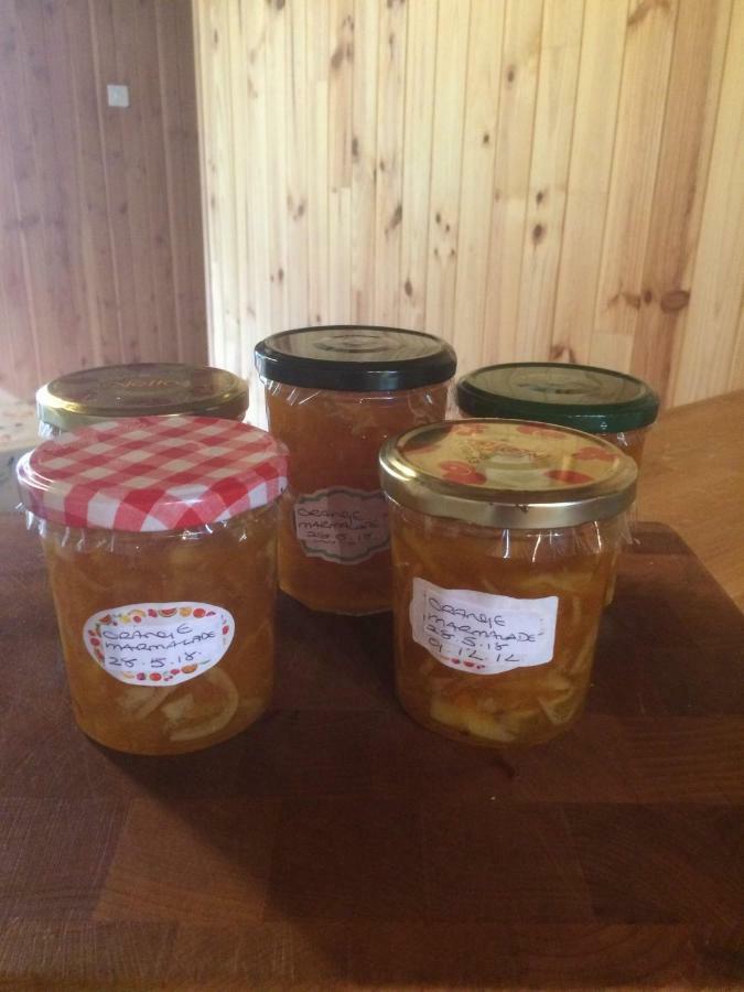 Spruce Lake Sauviat-sur-Vige Zewnętrze zdjęcie